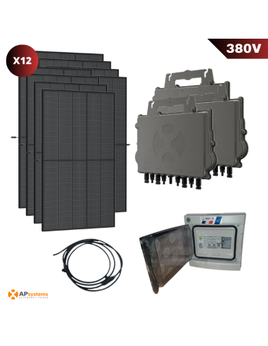 Kit Solaire Autoconsommation Triphasé 6000W - APSystems -  APSystems  | SoluSun