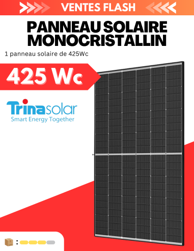 Panneau solaire monocristallin Trina...