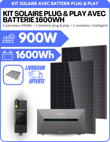 Kit Solaire Plug and Play 900W avec Batterie Anker - Panneaux Bi-Faciaux -  Anker  | SoluSun