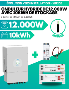 Kit d'évolution installation réseau vers installation hybride 12.000W avec 10kWh de stockage lithium - MONOPHASÉ -  Deye  | Solu