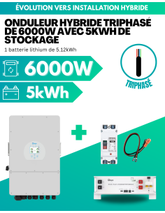 Kit d'évolution installation réseau vers installation hybride 6000W avec 5kWh de stockage lithium - TRIPHASÉ -  Deye  | SoluSun