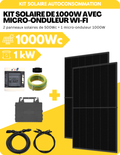 Kit Solaire Autoconsommation 1000W - Biverre et Bifacial - Suivi Wifi intégré -  APSystems  | SoluSun