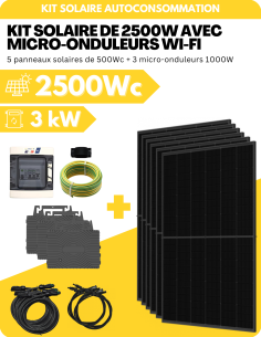Kit Solaire Autoconsommation 2500W - Biverre et Bifacial - Suivi Wifi intégré -  APSystems  | SoluSun