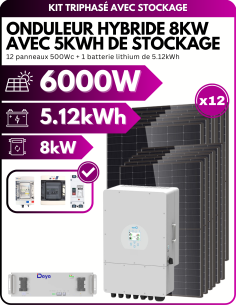 Kit solaire autoconsommation avec stockage Triphasé - 6kWc PV - 5kWh de stockage - 8kW AC -  Deye  | SoluSun