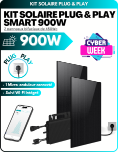 Panneau solaire Plug & Play - 2 panneaux 900W - BeSolar SMART -  BeSolar!  | SoluSun