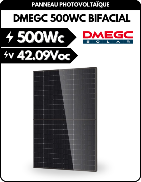 Panneau solaire - DMEGC N-type TOPCon 500Wp Bifacial - Transparent -  DMEGC Solar  | SoluSun