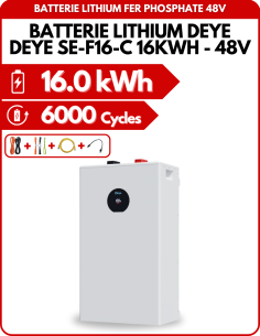 Batterie Lithium DEYE SE-F16-C - 16kWh - 48V