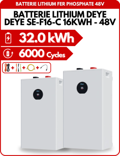 Pack de 2 Batteries Lithium DEYE SE-F16-C - 16kWh - 48V